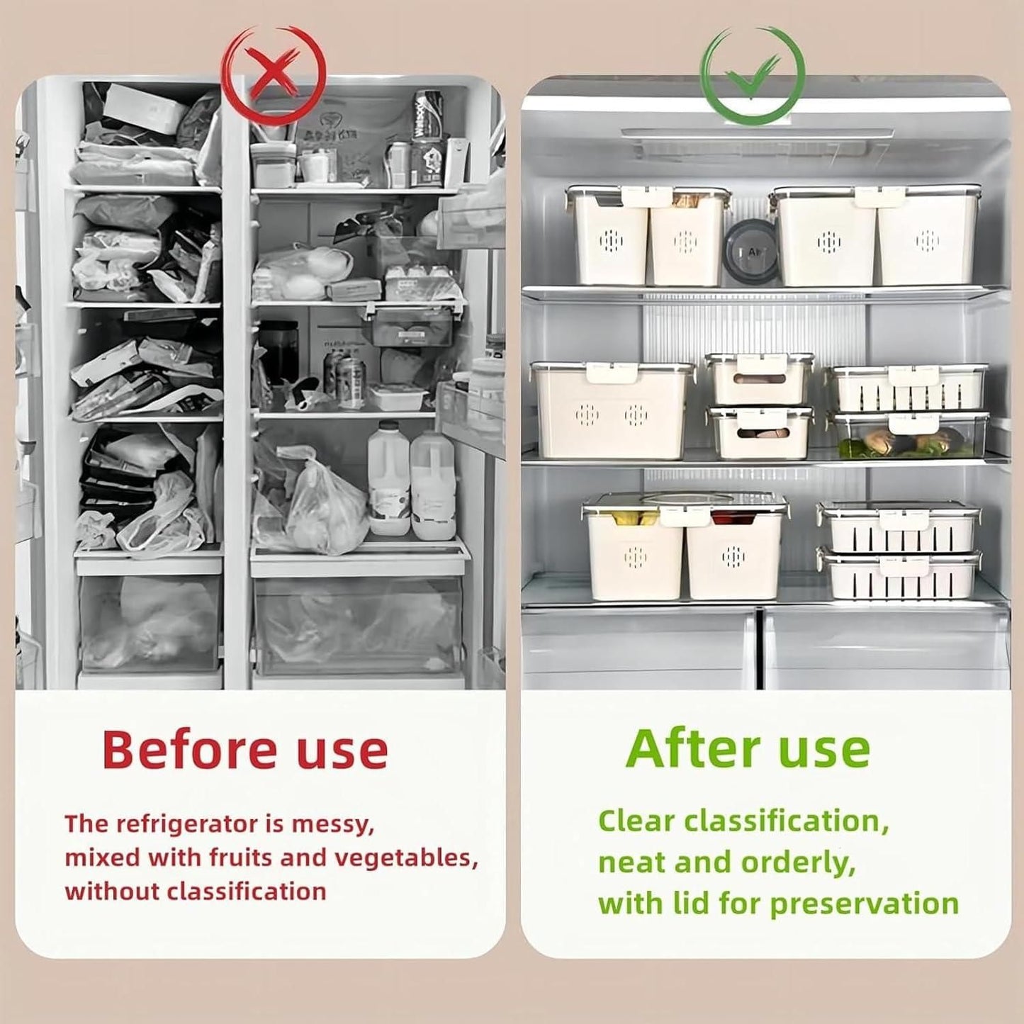 Compartment Fridge Storage (4)